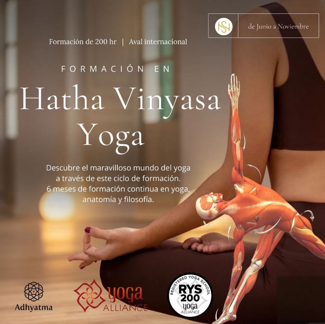 Curso de formación en hatha yoga vinyasa 